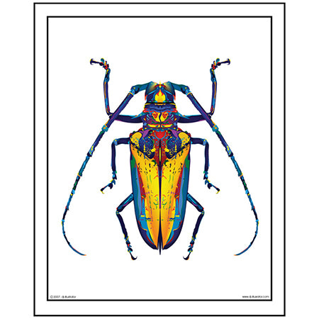 "roach" print 16" x 20" image 0