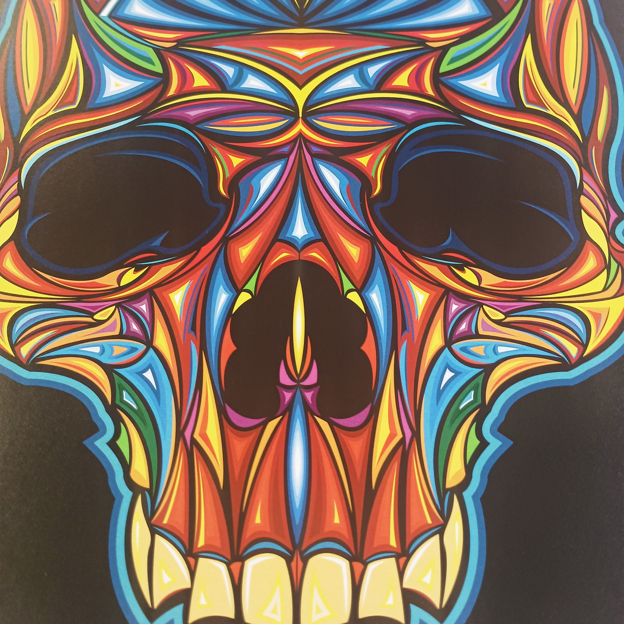 Flower Skull – Original Art Print by David Peche | 13" × 19"